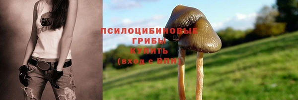 ПСИЛОЦИБИНОВЫЕ ГРИБЫ Алексеевка