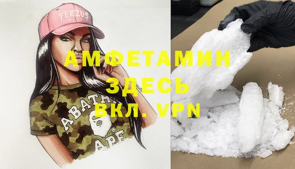 индика Алзамай