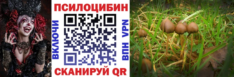 Галлюциногенные грибы Psilocybine cubensis гидра ссылки Осташков